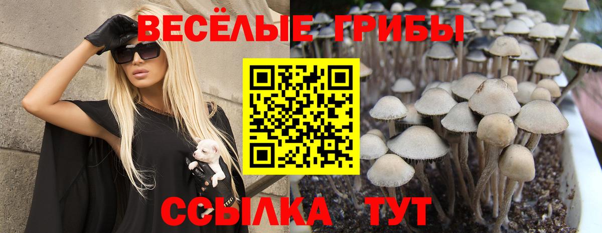 Галлюциногенные грибы MAGIC MUSHROOMS Сертолово